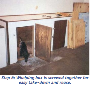 Making a best sale whelping box